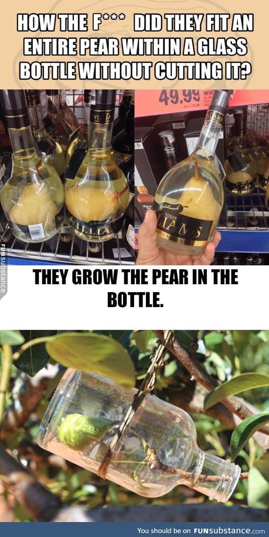 Bottled pear
