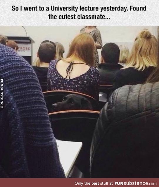 Cutest classmate