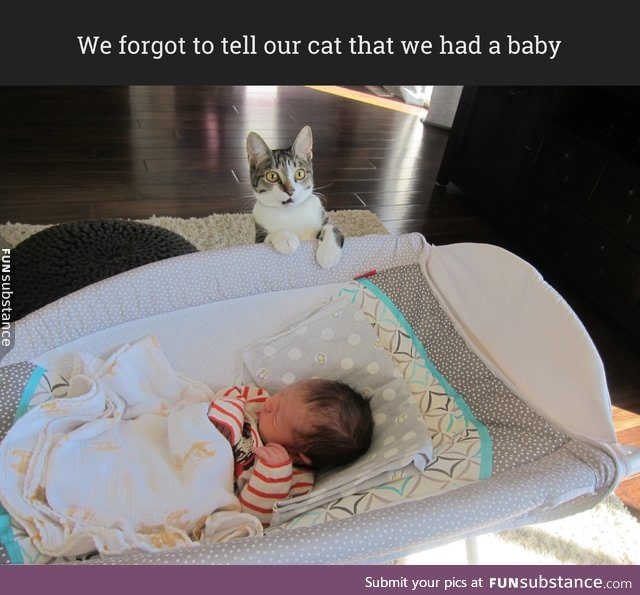 We forgot to tell our cat that we had a baby