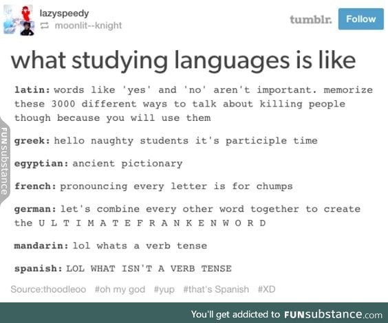 Studying languages