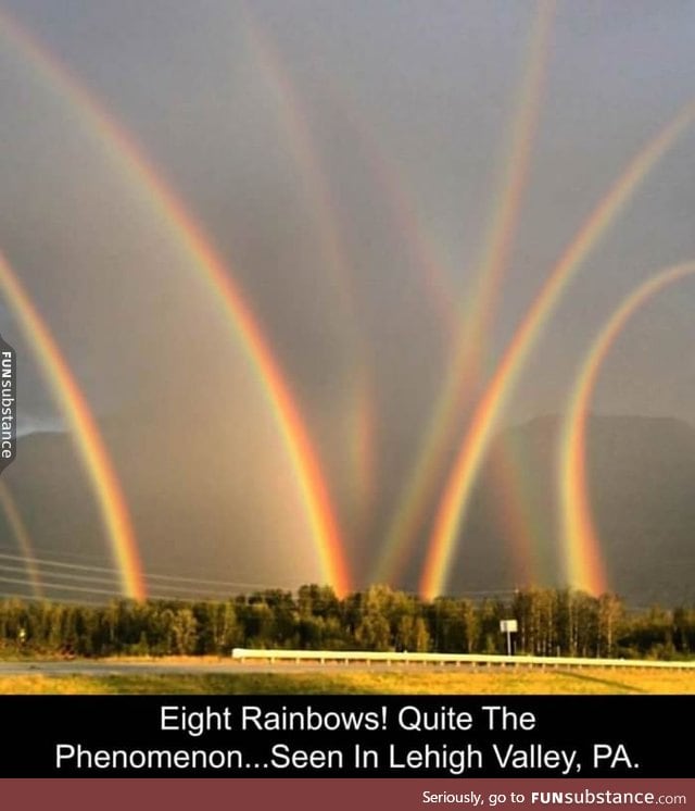 Rainbow farm