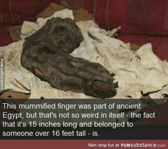 Egyptians were giants