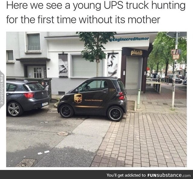 Baby Ups