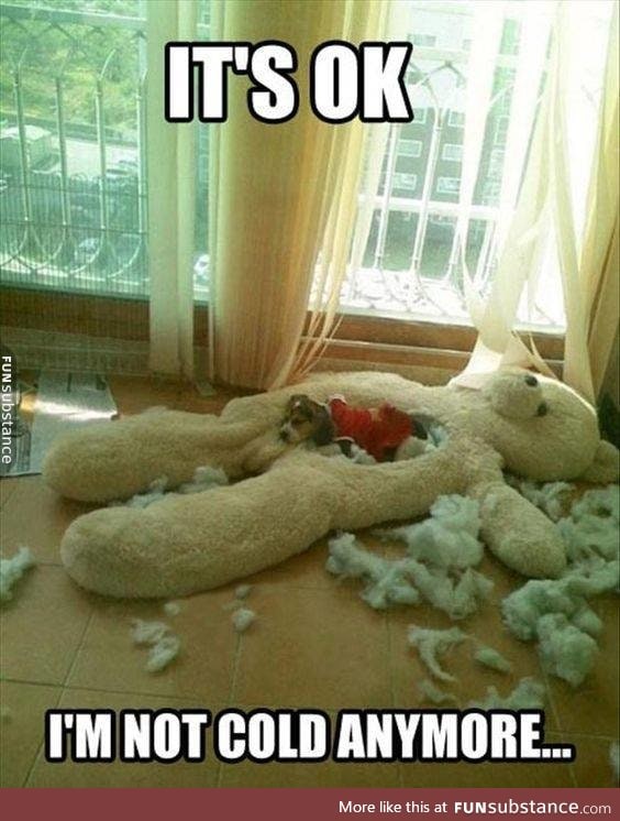 something my dogs would do