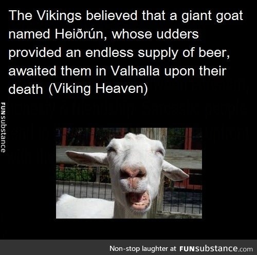 Viking Facts Part Three