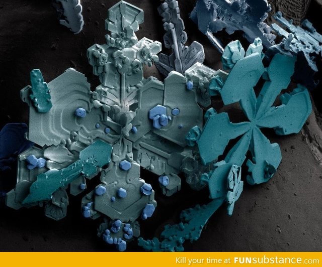 Electron microscope photo of a snowflake