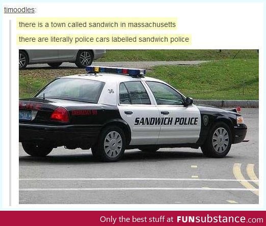 Sandwich Police