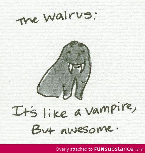 The Walrus