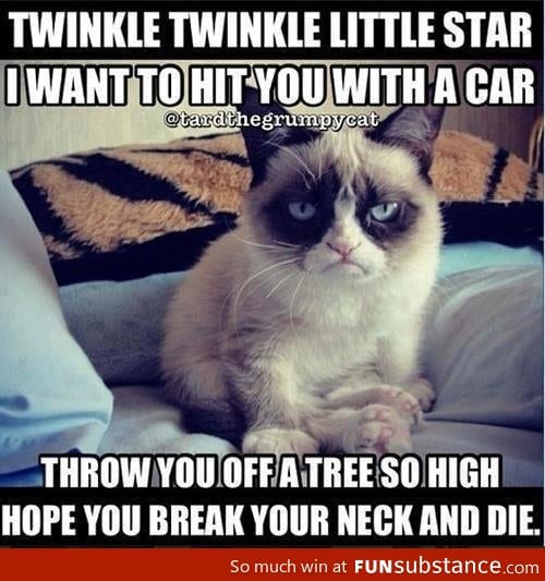 Grumpy cat poem