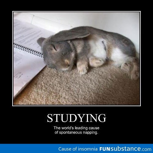 Studying causes spontaneous napping