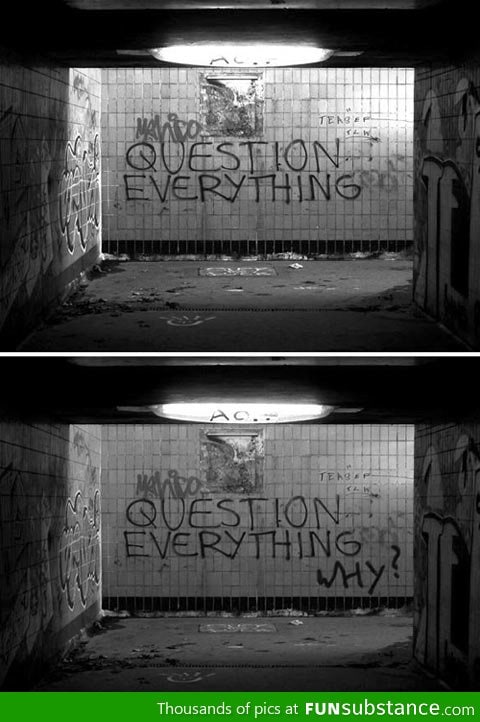 Always Question Everything