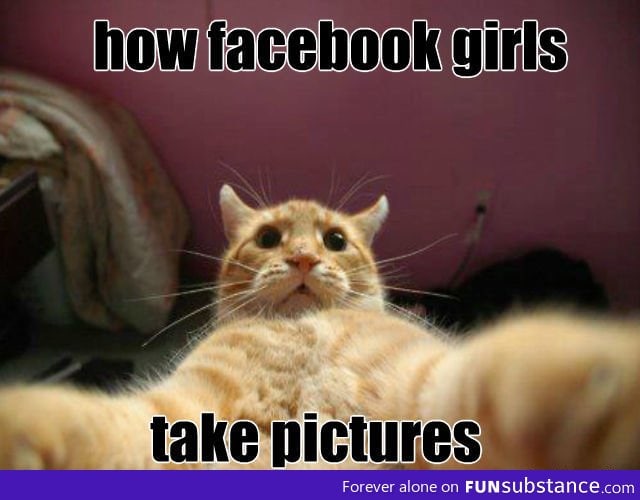 Facebook Cat