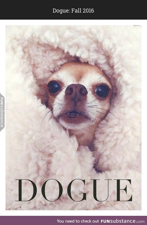 Dogue: Fall 2016