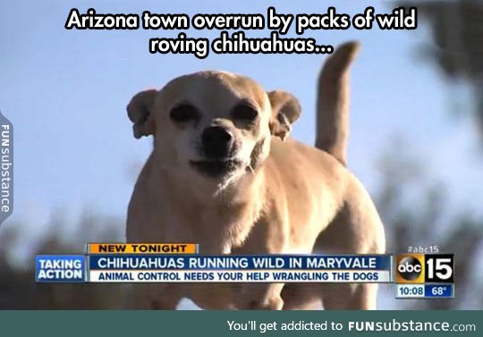 Arizona is doomed