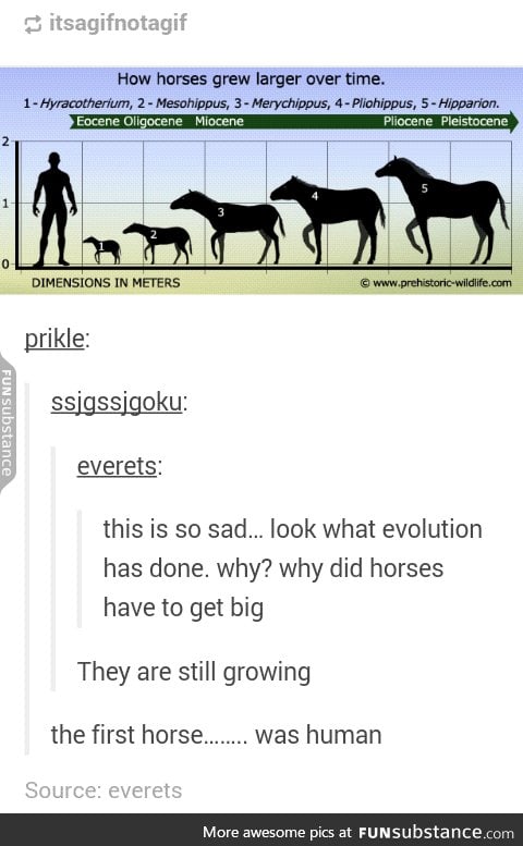 Aren't all horses human?
