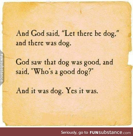 Let there be dog!