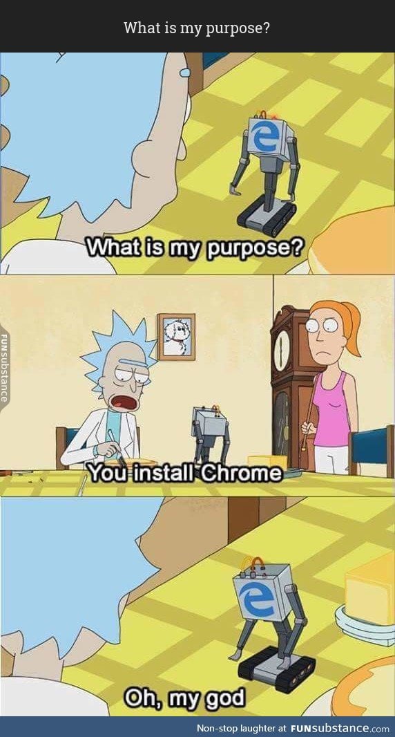 What is my purpose?