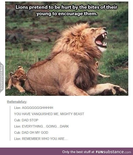 Simba and Mufasa :(