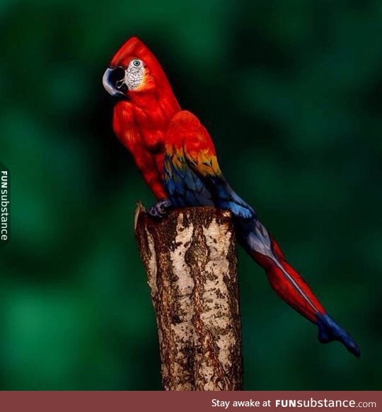Woman cleverly painted to look like a bird