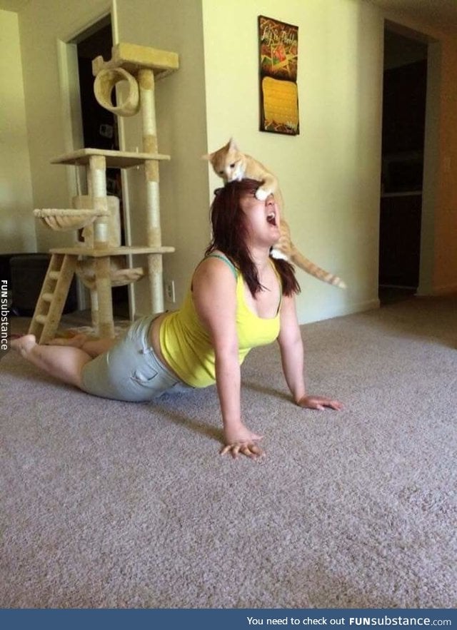 Yoga and kitties do not mix well