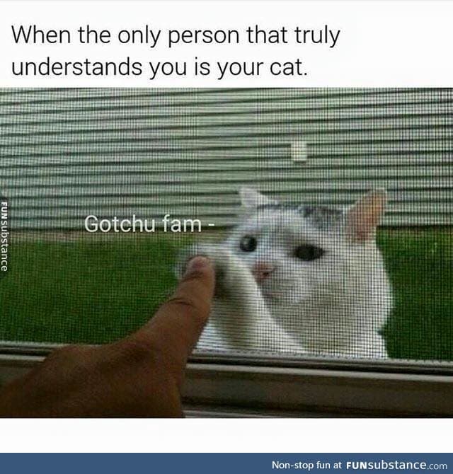 This would be me if my cats weren't soulless jerks