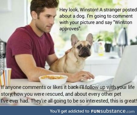 Hey look! A stranger posted about a dog