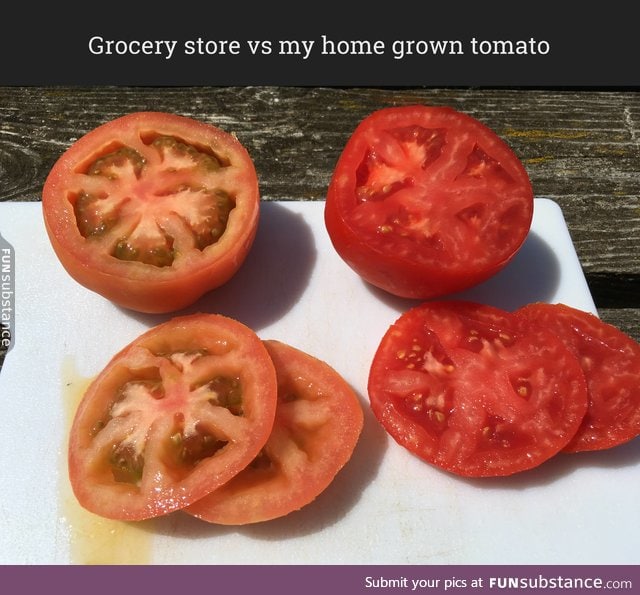 Cheap tomatoes