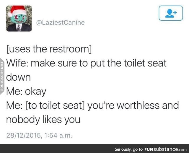 Damn toilet seat