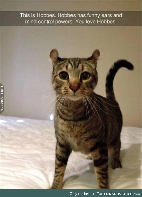 He is also telling you to feed him tuna with his powers...