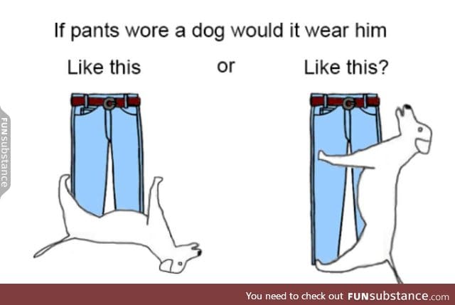 Anyone remember the dog pants meme?