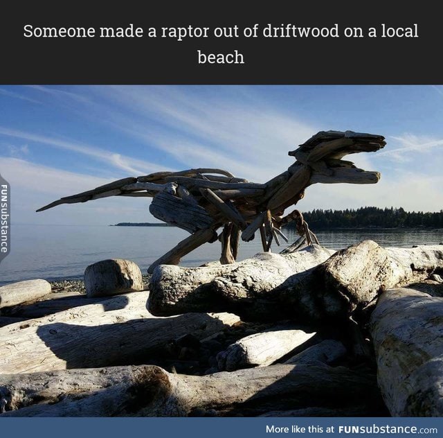 Someone made a raptor out of driftwood