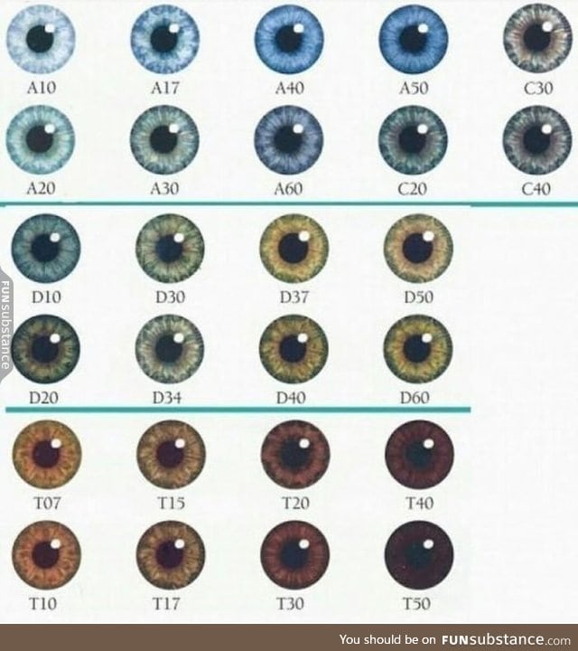 What's your eye color?