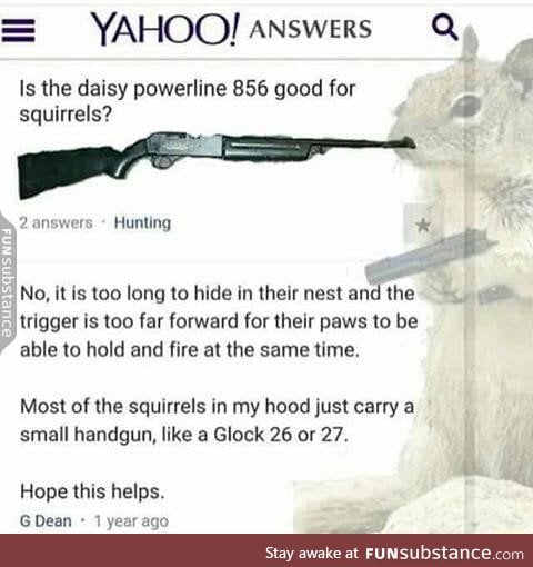 Gun for squirrels