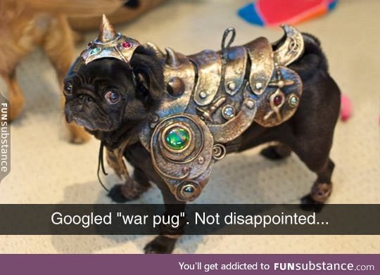 The war pug