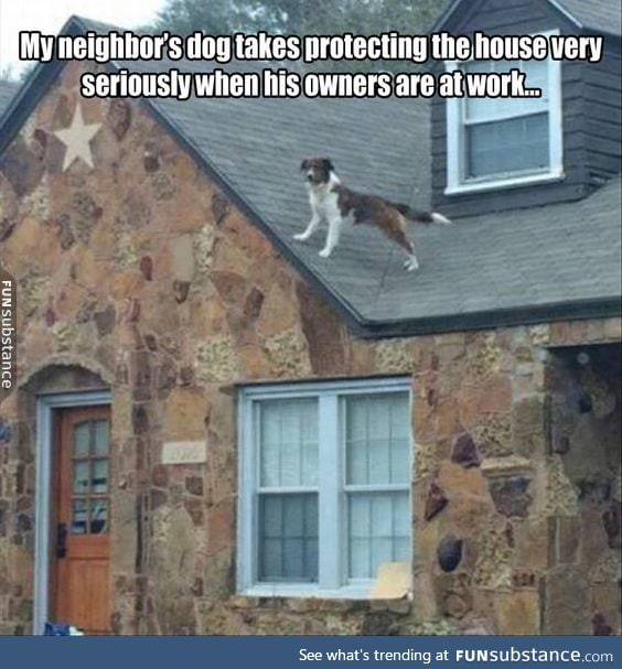 Extreme guard dog