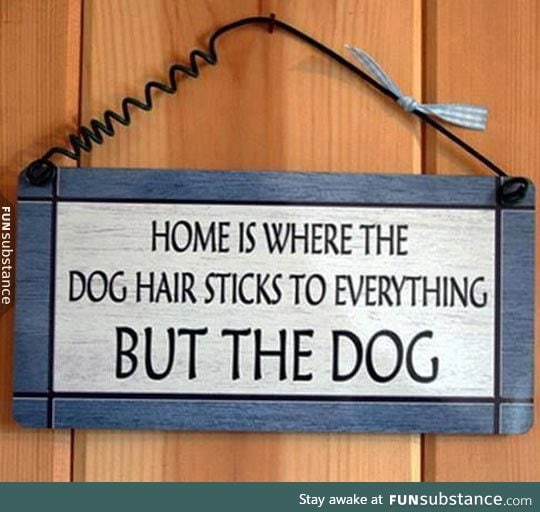 Dog owners will know