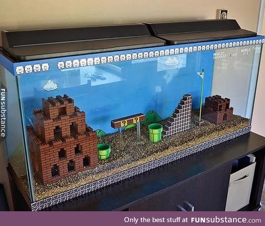 Quite possibly the best fish tank ever