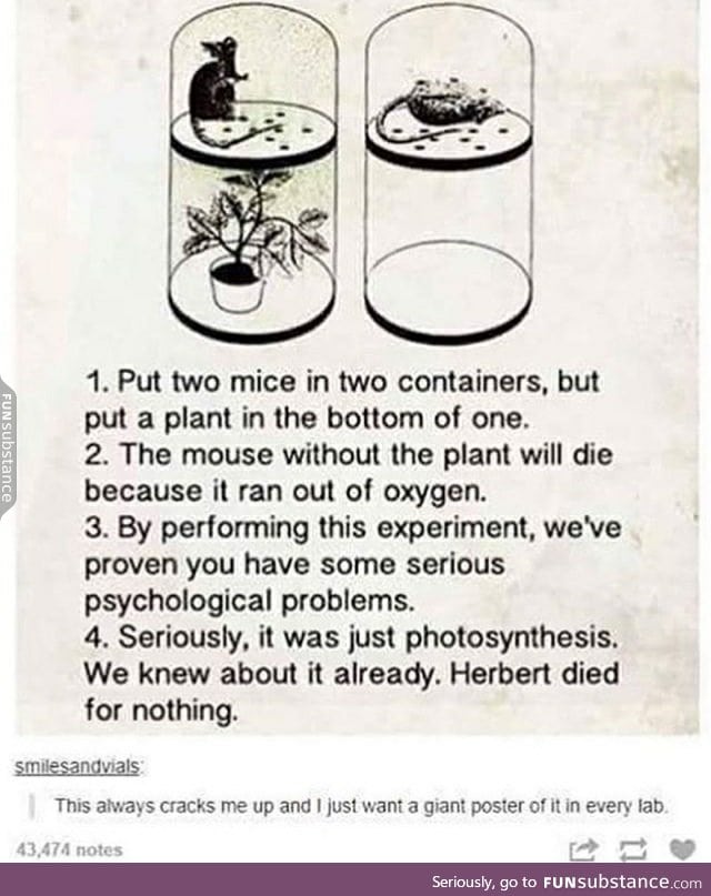 Science experiment - FunSubstance