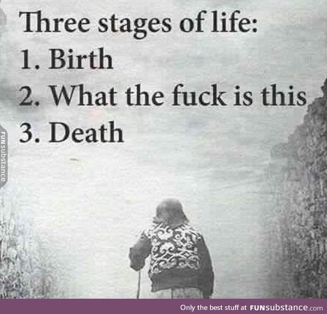 3 stages of life