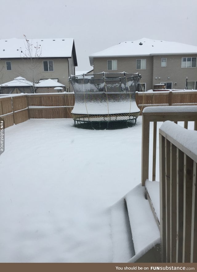 Curse this Alberta weather (this all fell today)