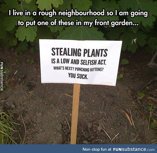 Sneaky plant thieves