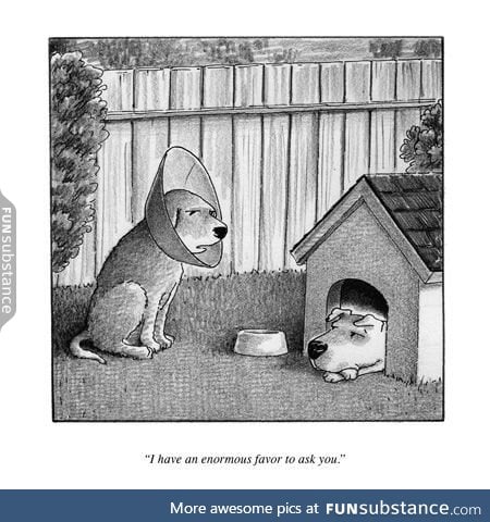 One of the best New Yorker cartoons was a rejected one