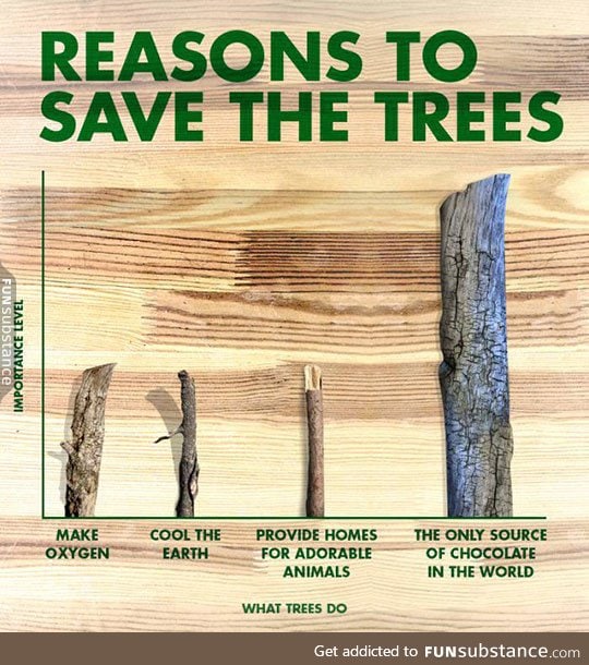 Some reasons to save the trees