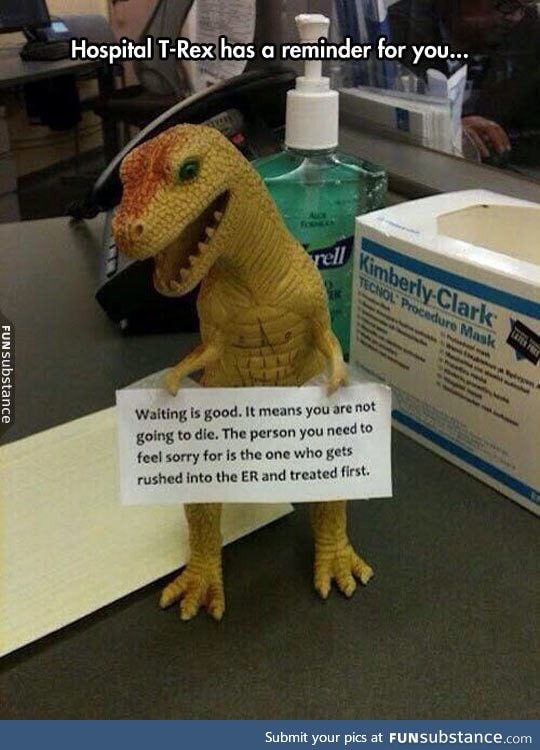 Hospital t-rex