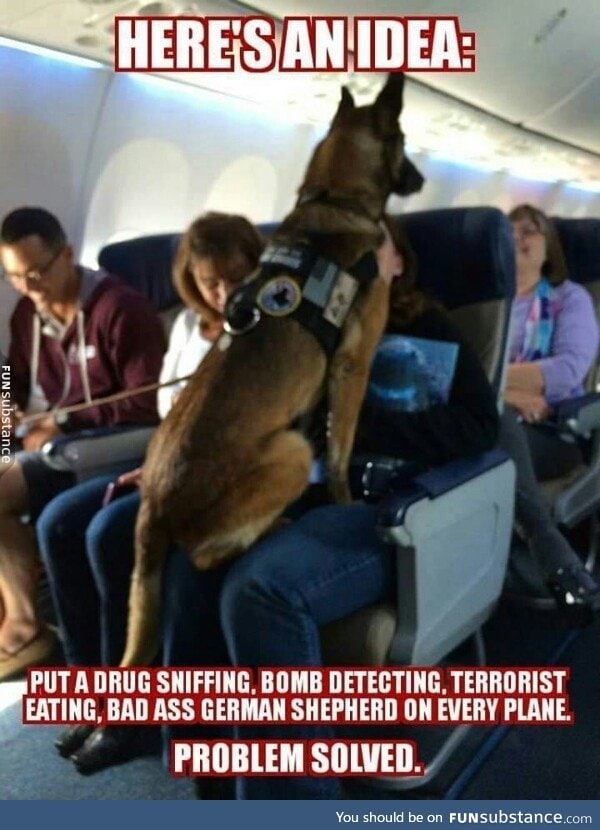 Upholding the law on airplanes