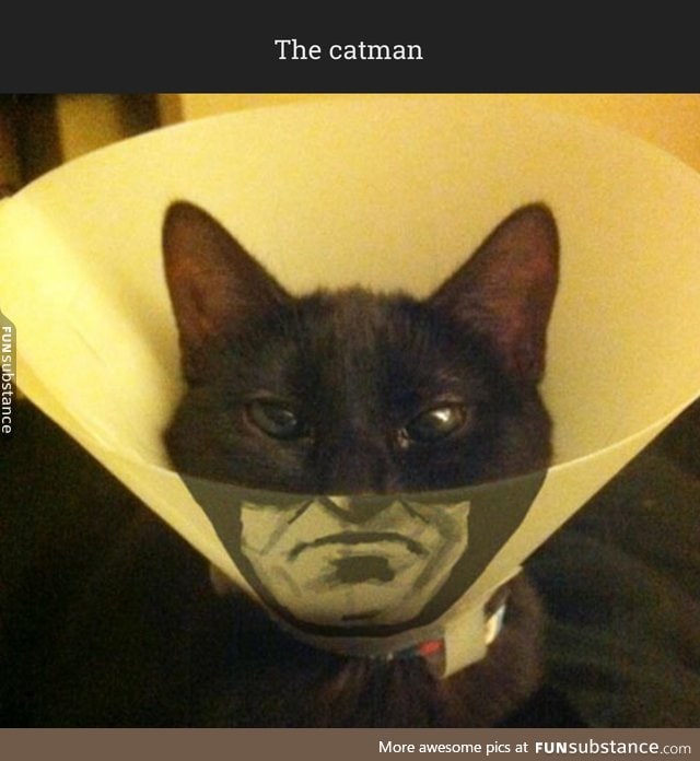 The catman