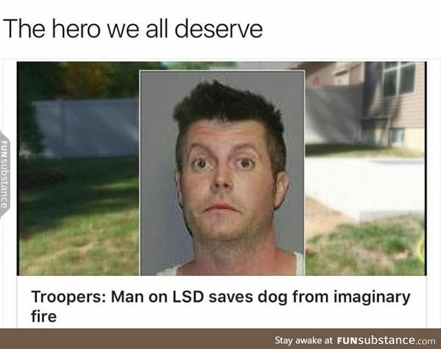 Dog's saviour