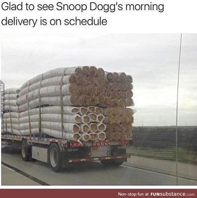 Snoop Dogg's delivery