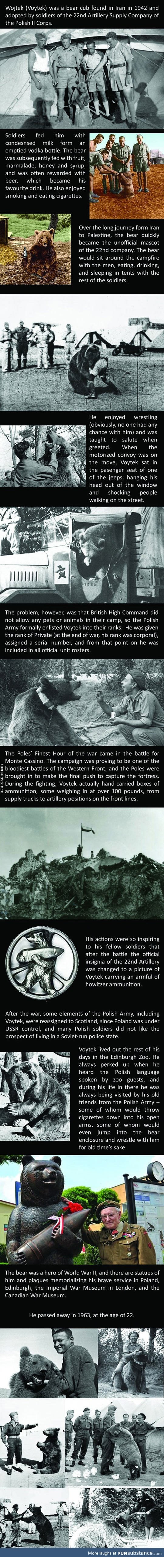 The incredible story of voytek the soldier bear