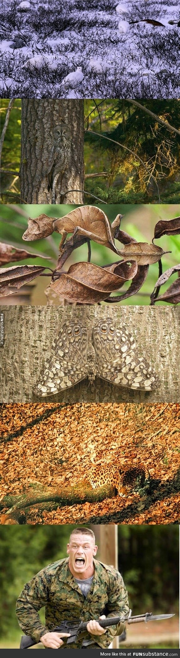 Worlds most invisible camouflages